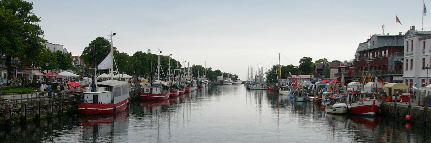 Header Image